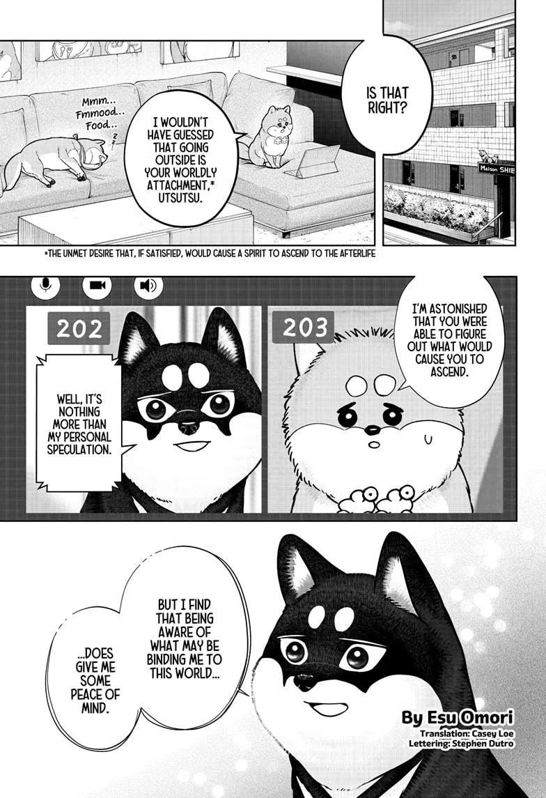 Shiba Inu Rooms Chapter 34 – Page 1