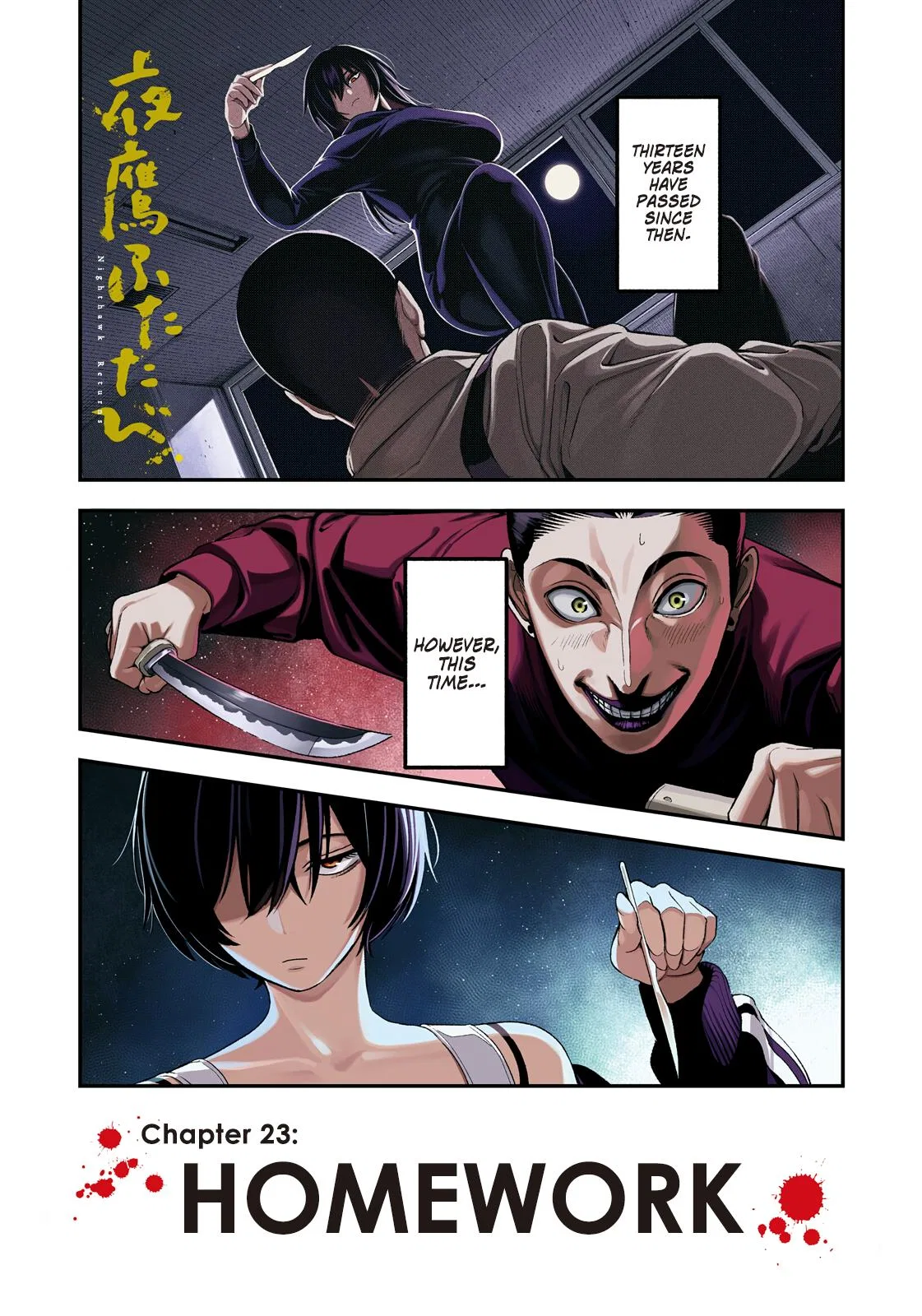 Nighthawk Returns Chapter 23 – Page 1