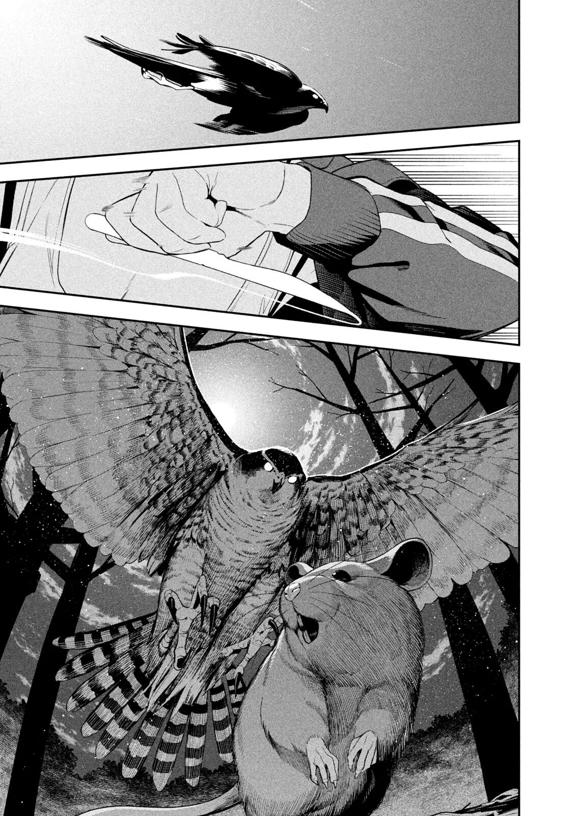 Nighthawk Returns Chapter 21 – Page 12
