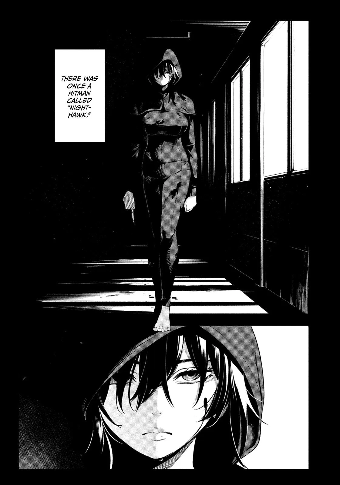 Nighthawk Returns Chapter 3 – Page 1