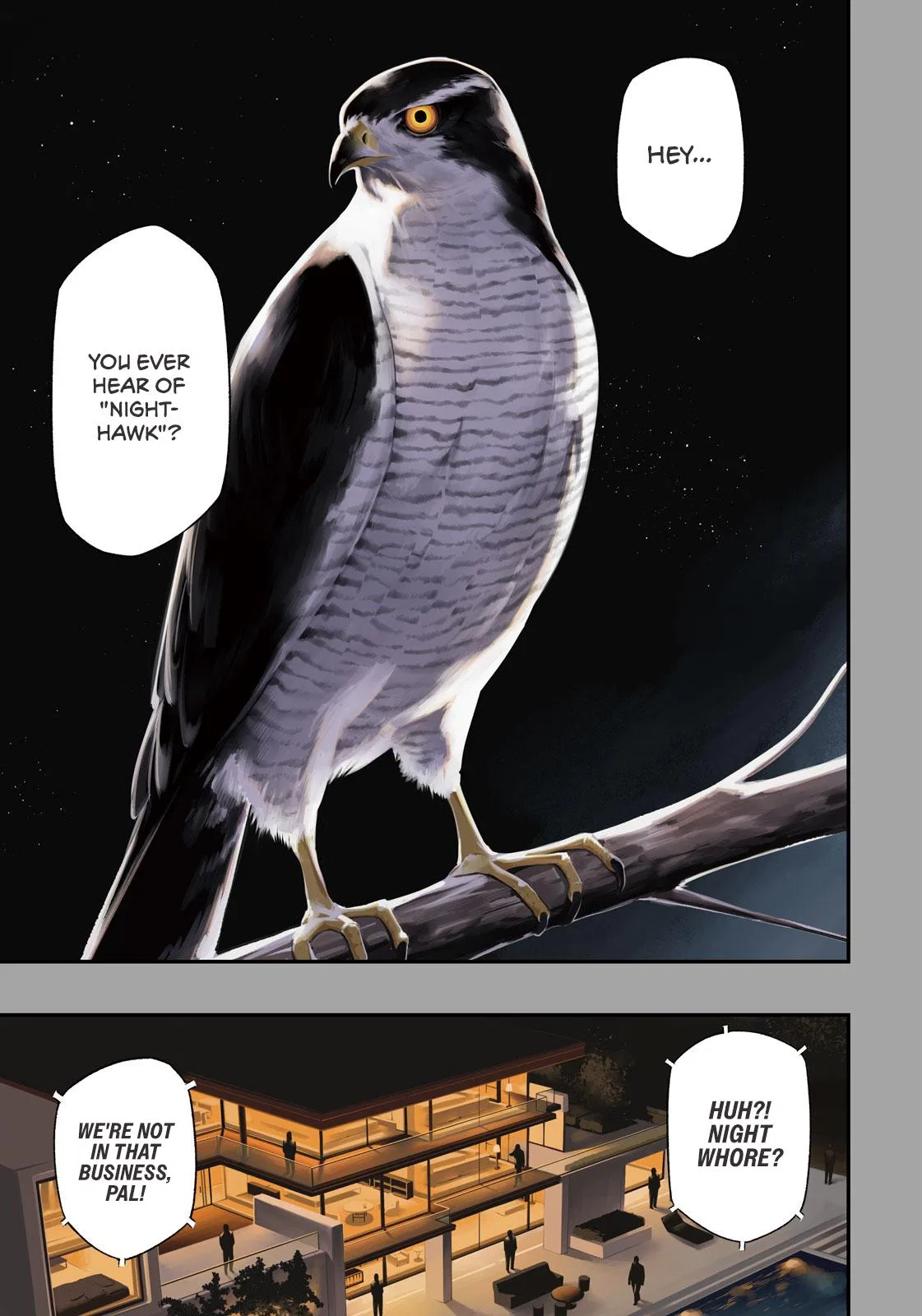 Nighthawk Returns Chapter 1 – Page 1