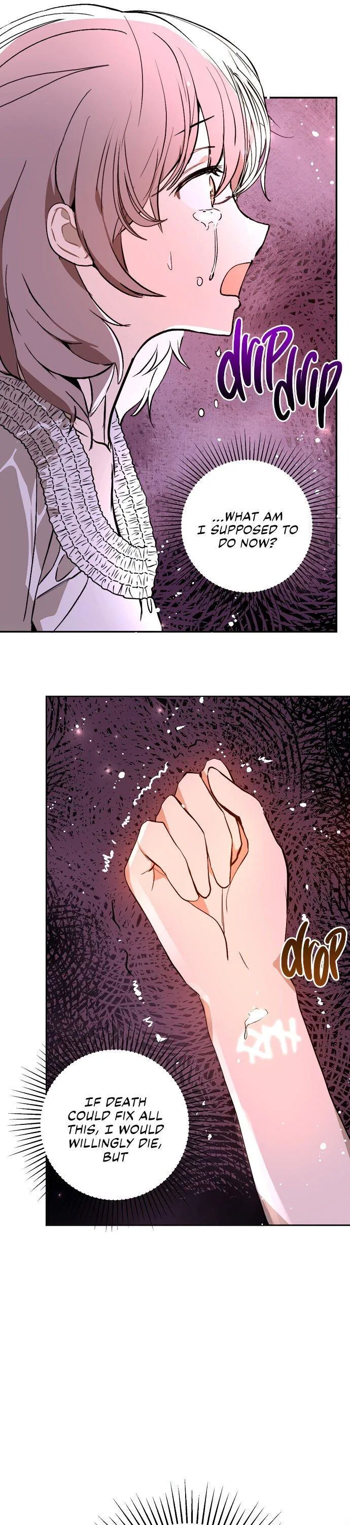 I Didn’t Mean to Seduce the Male Lead Chapter 22 – Page 17