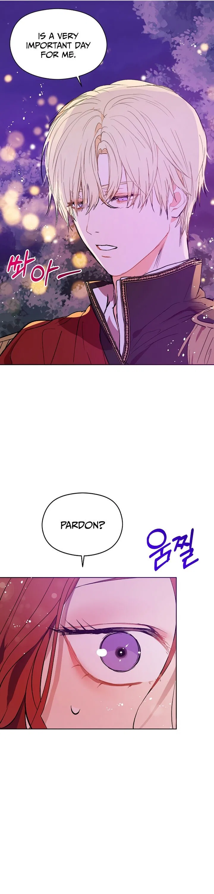 I Didn’t Mean to Seduce the Male Lead Chapter 11 – Page 17