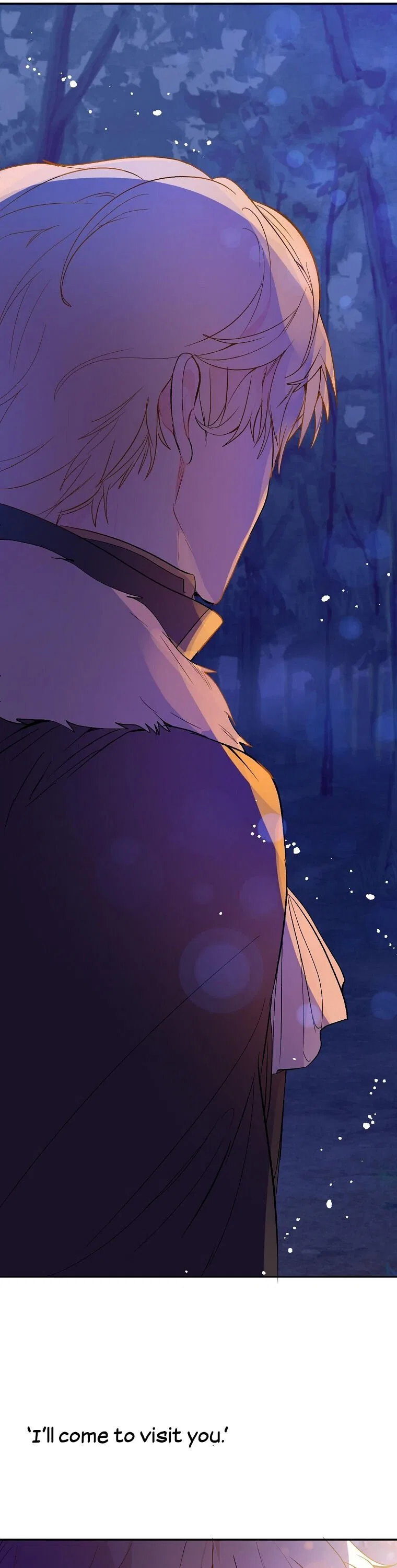 I Didn’t Mean to Seduce the Male Lead Chapter 2 – Page 27
