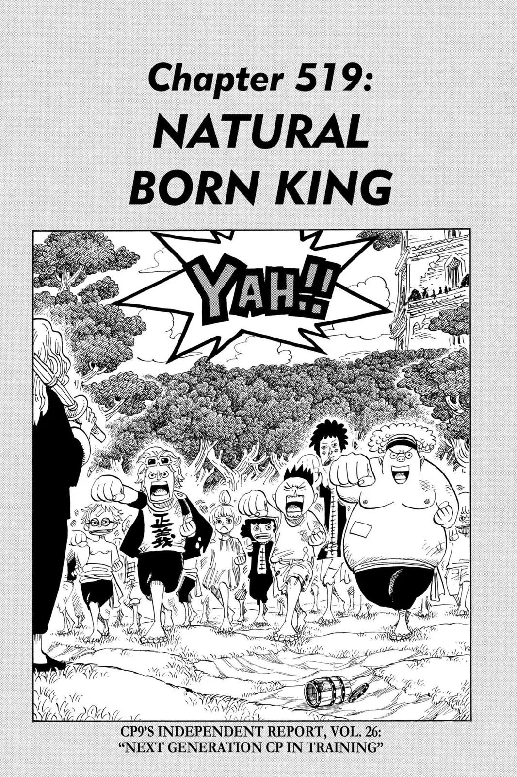 One Piece One Piece Chapter 519 – Page 1