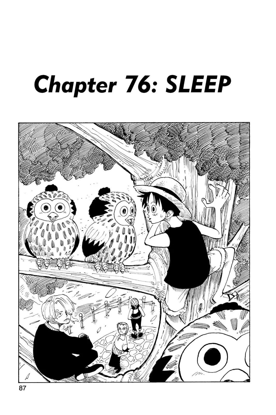 One Piece One Piece Chapter 76 – Page 1