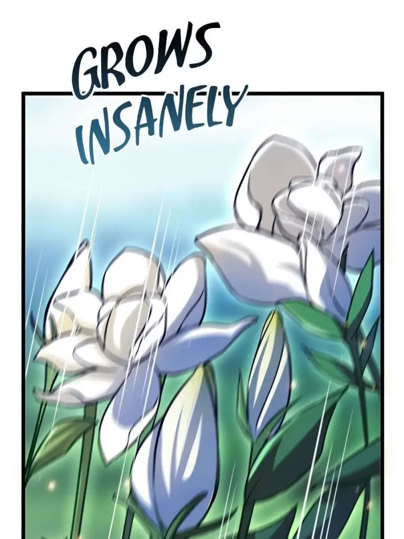 The Sickly Tyrant With An Innocent Facade Chapter 7 – Page 33