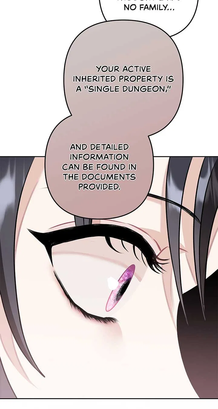 The S-Class Dungeon Owner Chapter 2 – Page 17