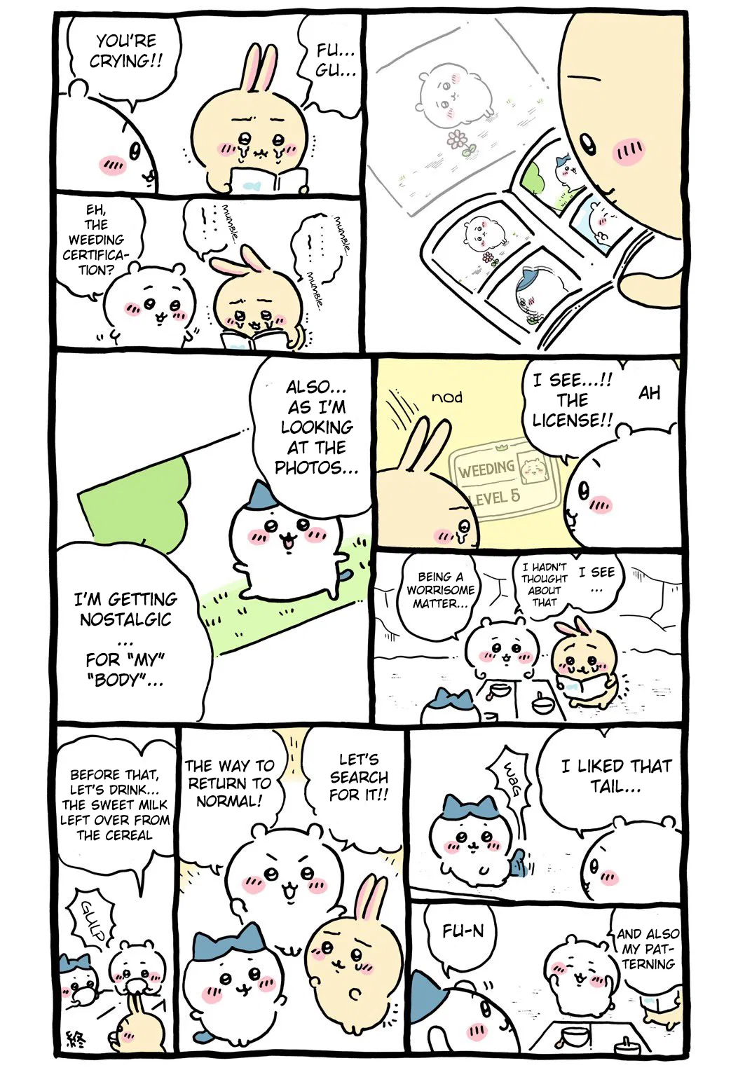 Chiikawa: Nanka Chiisakute Kawaii Yatsu (Webcomic Pages) Chapter 400 – Page 1