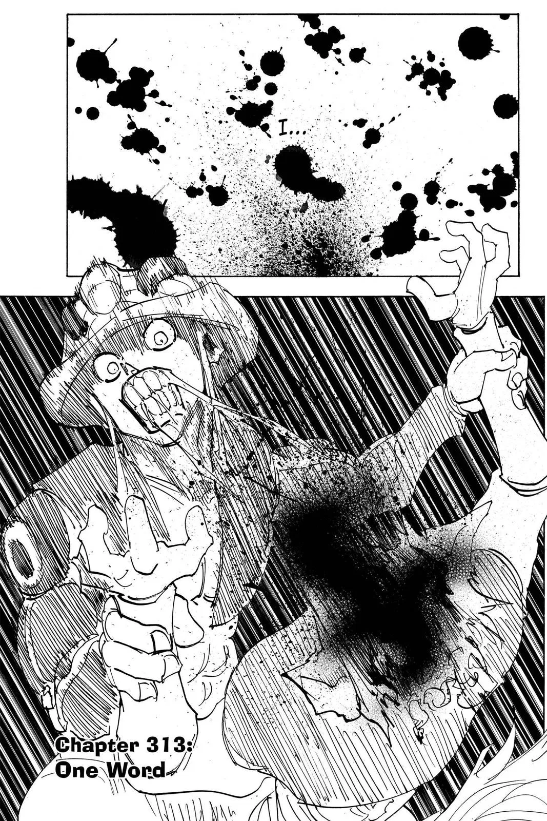 Hunter x Hunter Chapter 313 – Page 1