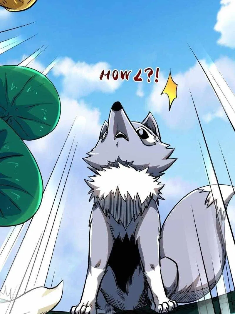 Super Gene Chapter 208 – Page 42