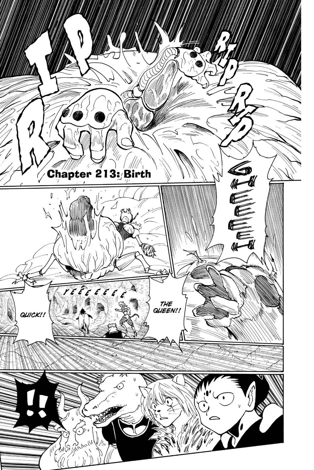 Hunter x Hunter Chapter 213 – Page 1