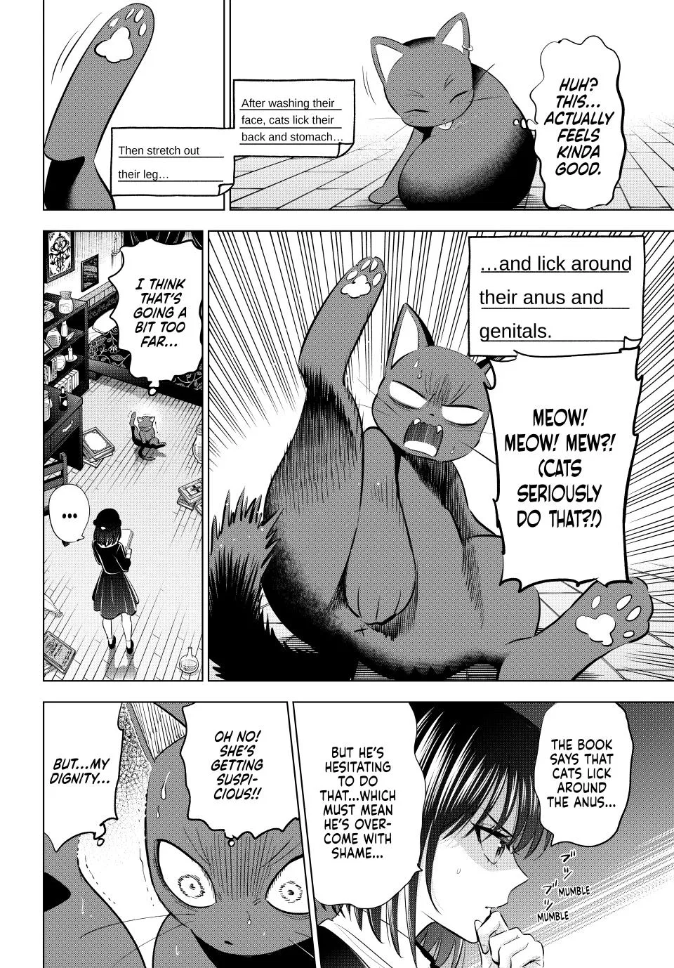 Anime – The Classroom of a Black Cat and a Witch Chapter 61 – Page 17