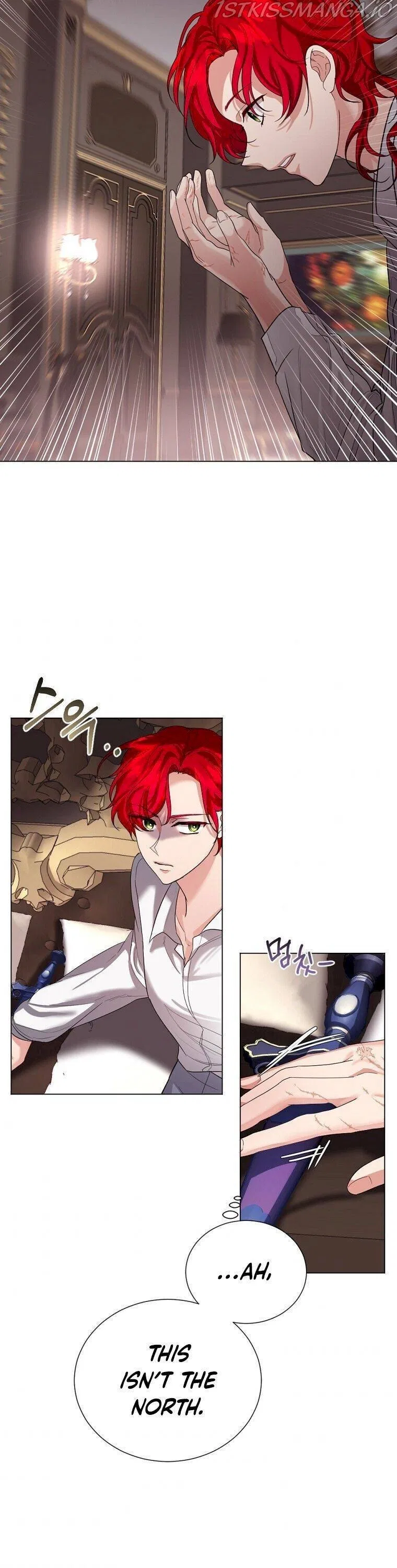 The Duke of Ashleyan’s Contractual Marriage Chapter 12 – Page 13