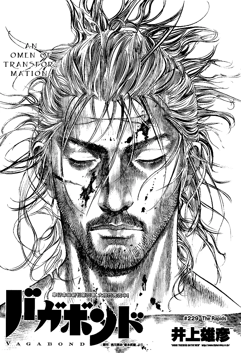 Vagabond Chapter 229 – Page 1