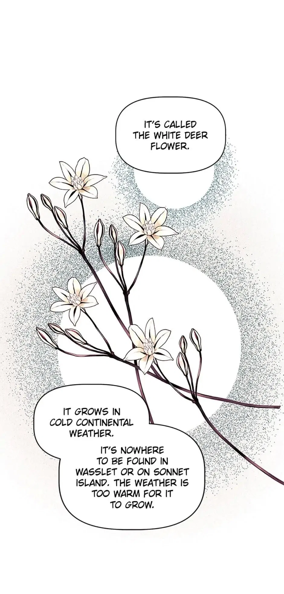Let Me Fall Be Brilliant Chapter 45 – Page 30