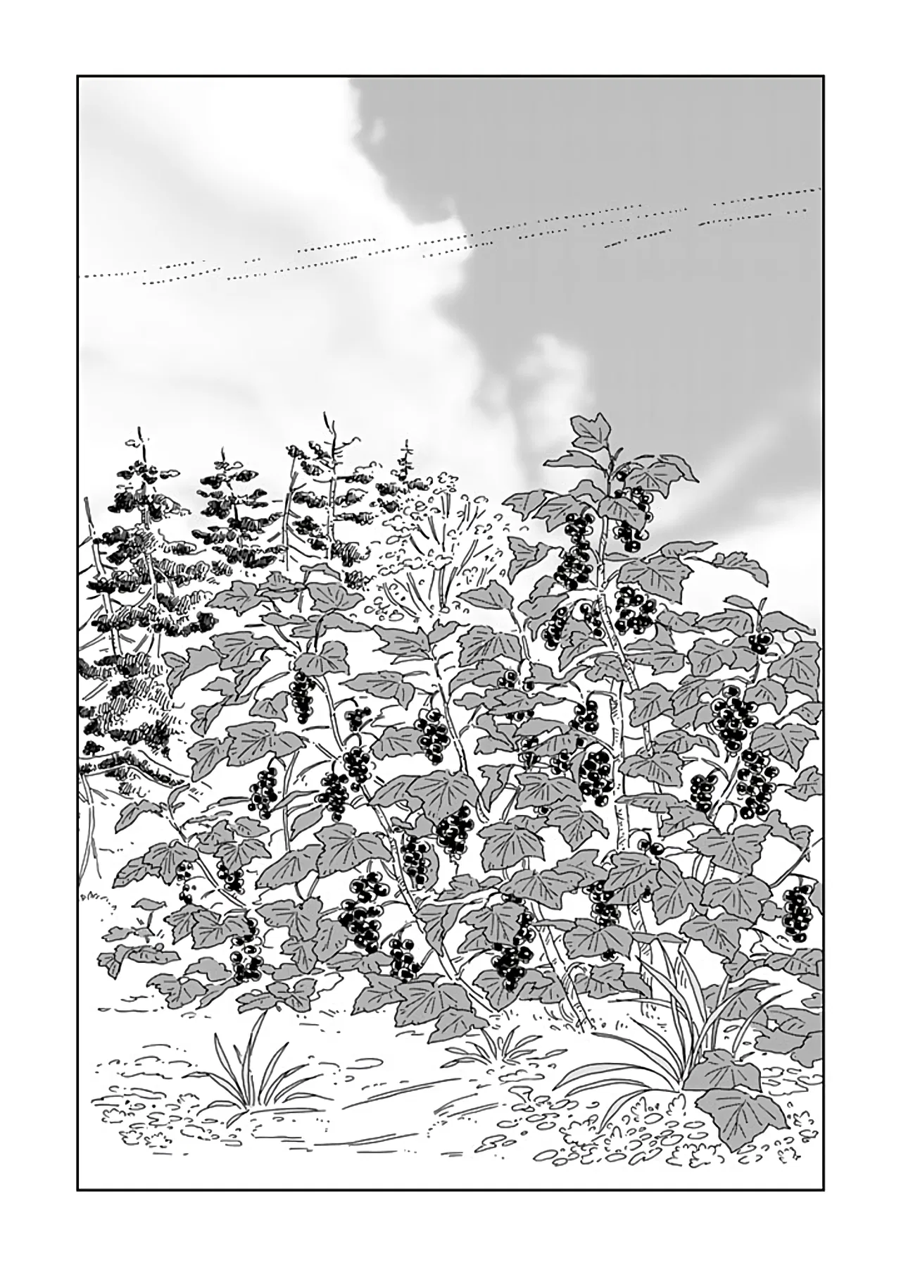 Hokuo Kizoku to Moukinzuma no Yukiguni Karigurashi Chapter 88 – Page 1