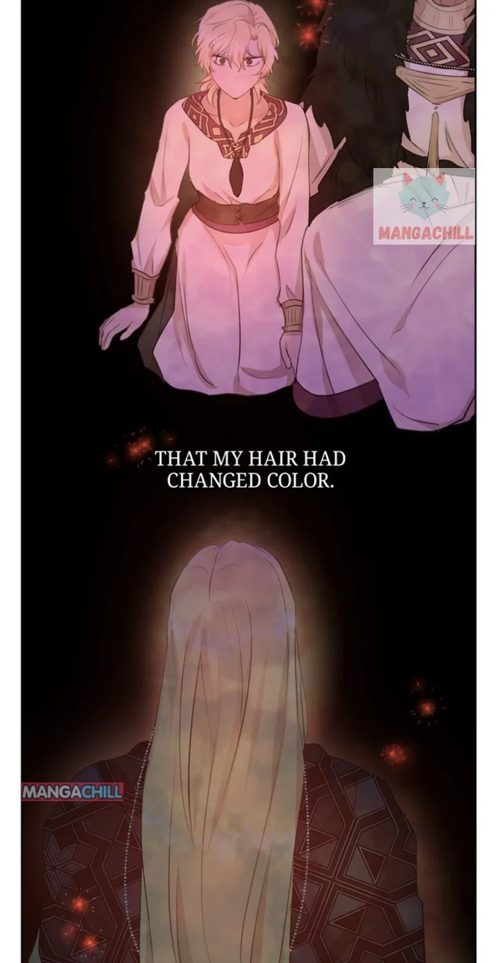 The Golden Forest Chapter 66 – Page 33