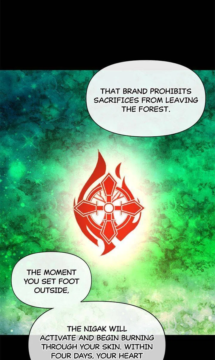 The Golden Forest Chapter 30 – Page 53