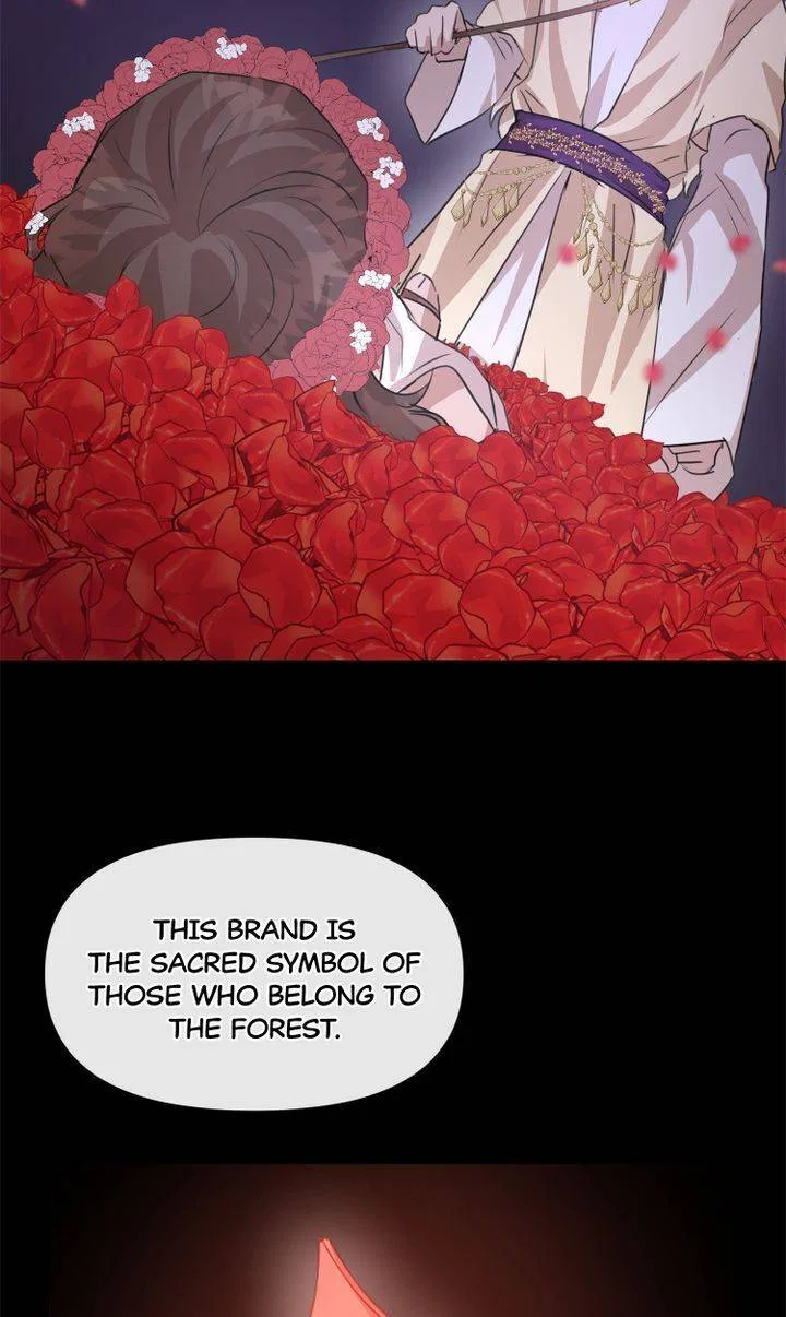 The Golden Forest Chapter 29 – Page 14