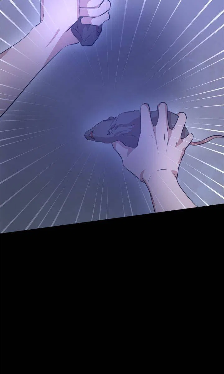 The Golden Forest Chapter 28 – Page 71