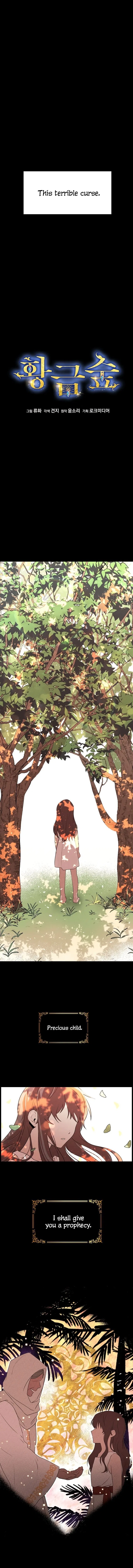 The Golden Forest Chapter 1 – Page 2