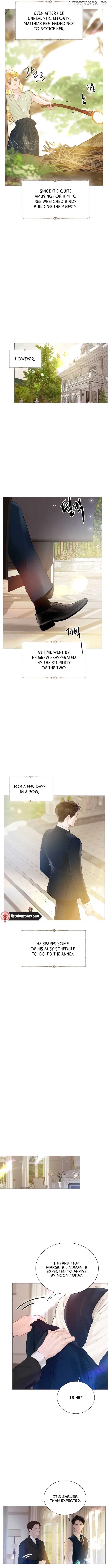 Cry, Even Better If You Beg Chapter 20 – Page 5