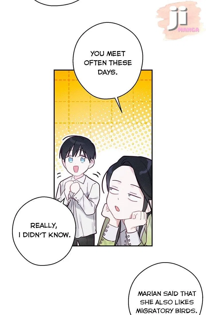 Let’s Hide My Younger Brother First Chapter 17 – Page 55