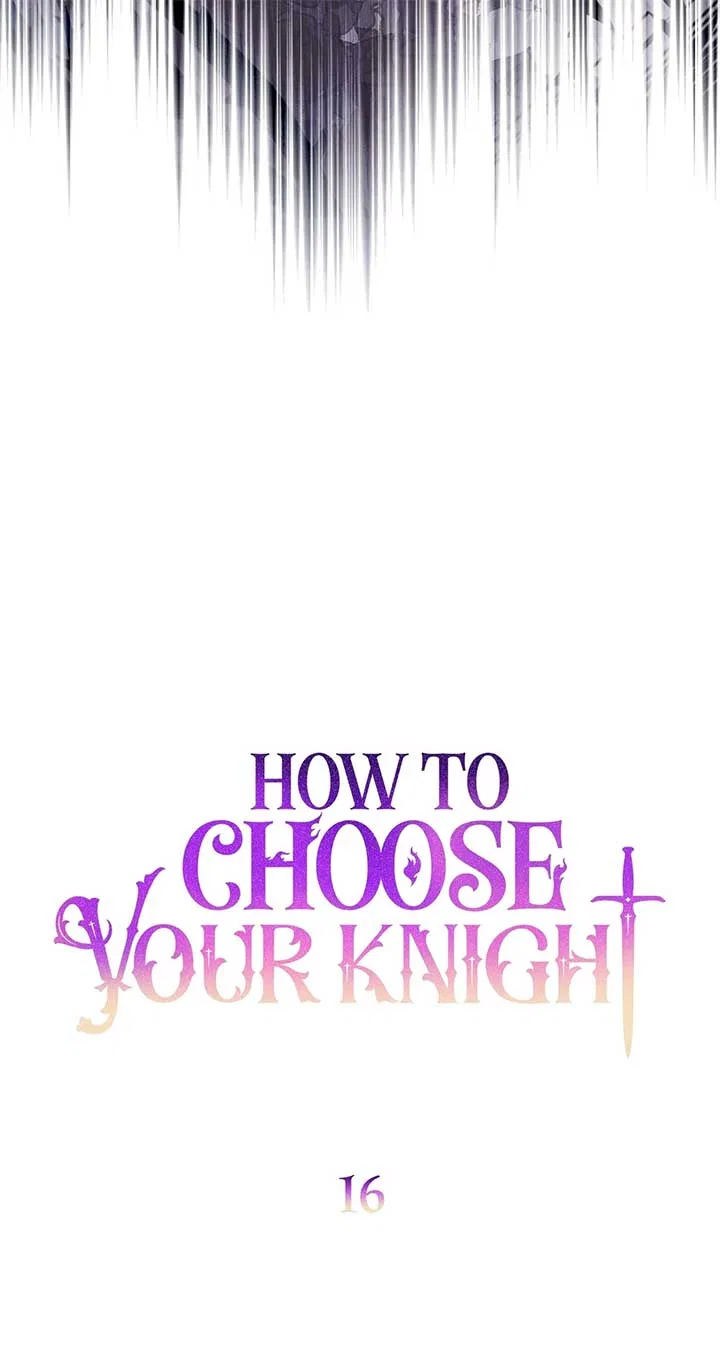 How to Choose Your Knight Chapter 16 – Page 15