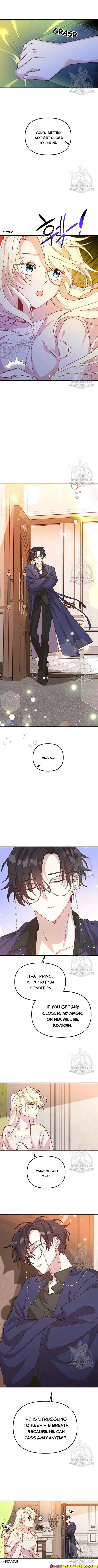 The Princess Pretends To Be Crazy Chapter 33 – Page 5