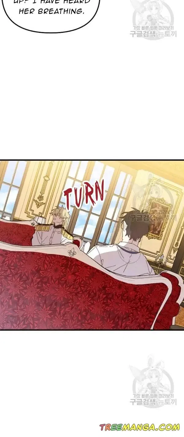 The Princess Pretends To Be Crazy Chapter 28 – Page 3