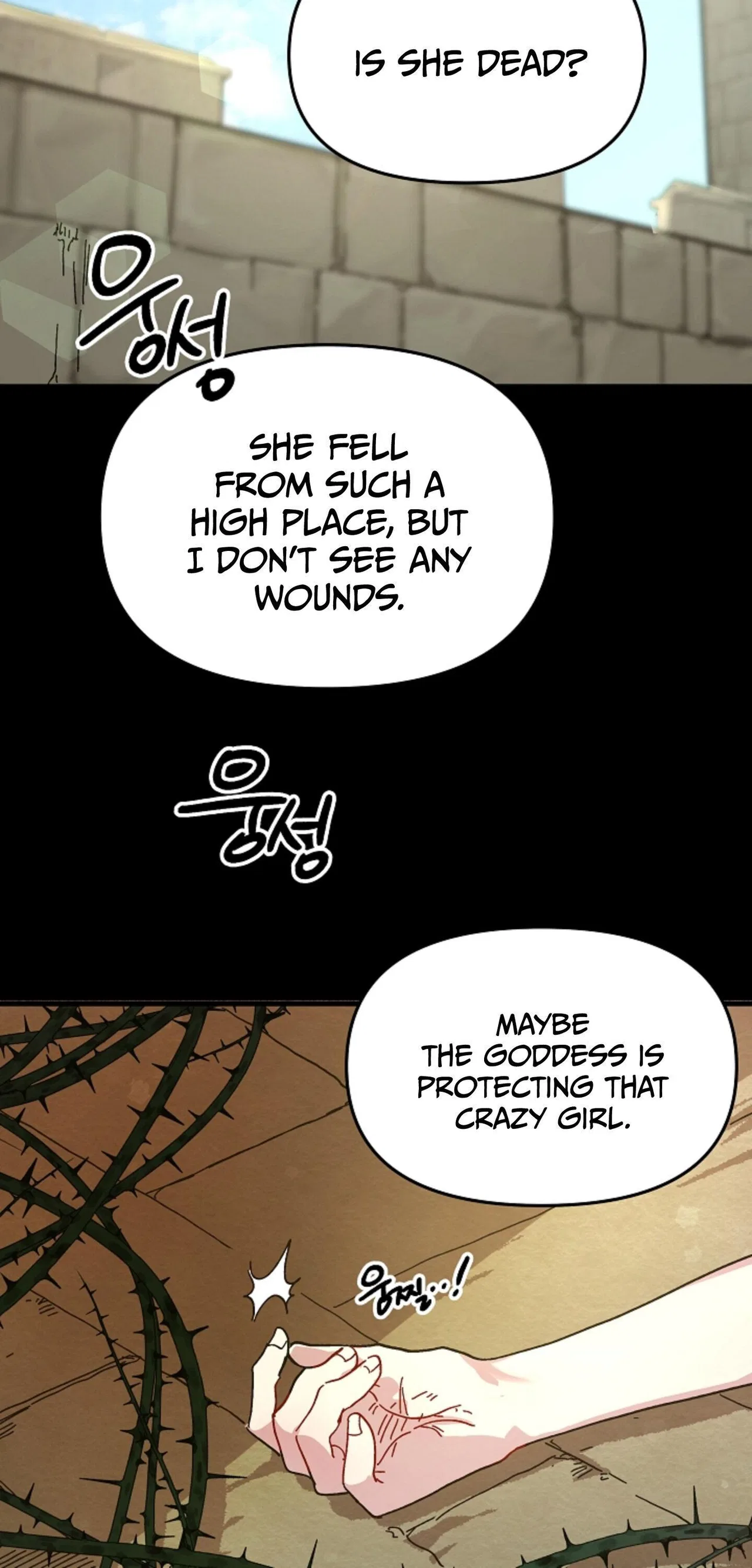 The Princess Pretends To Be Crazy Chapter 2 – Page 25