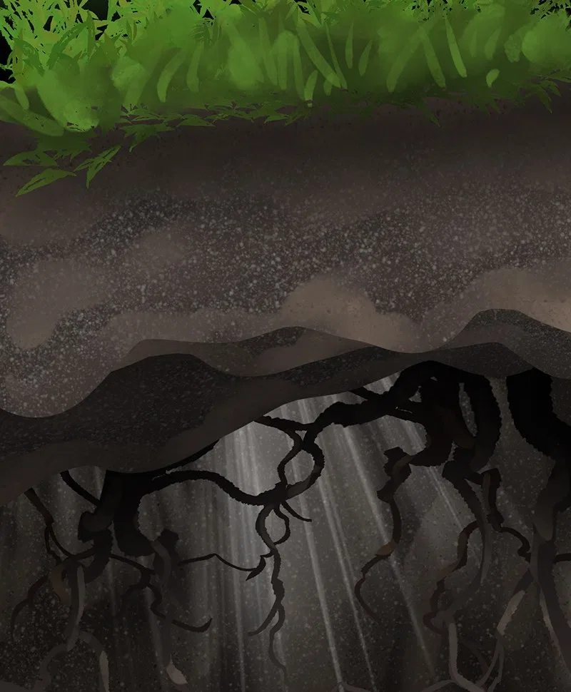 The Witch and The Bull Chapter 19 – Page 37