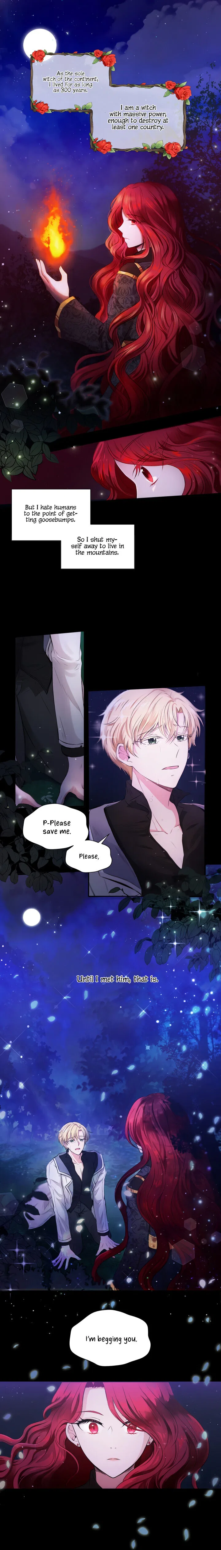 The Princess is Evil Chapter 1 – Page 2