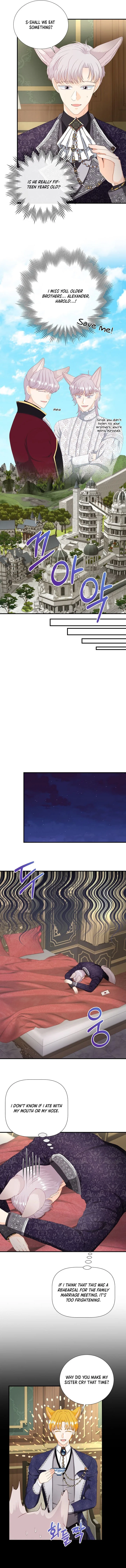 I’m a Wolf, but I Won’t Harm You Chapter 52 – Page 3