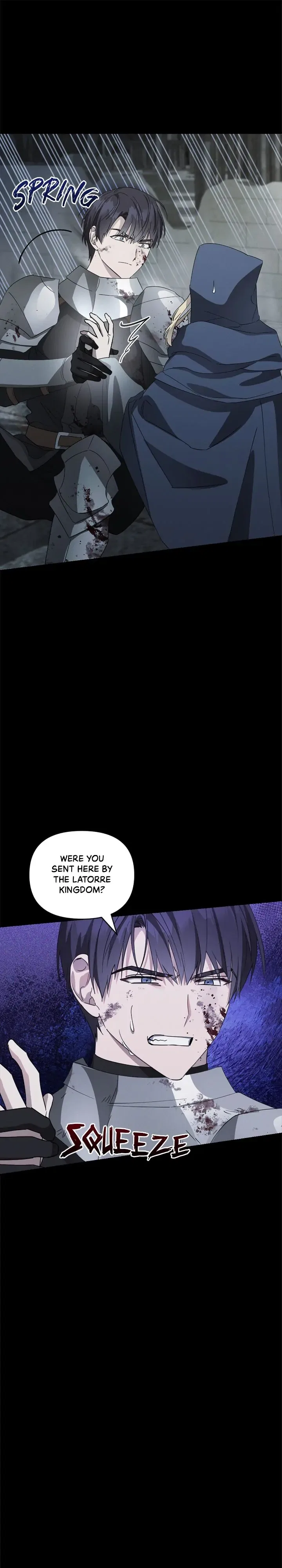 She’s a Villainess, but Her Husband Is Handsome Chapter 25 – Page 5