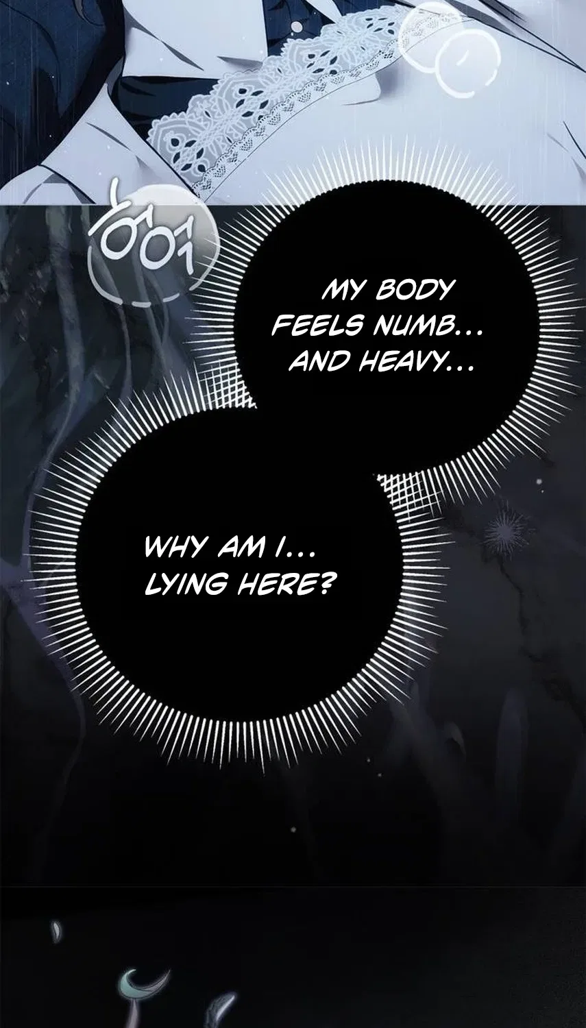The Count’s Secret Maid Chapter 108 – Page 45