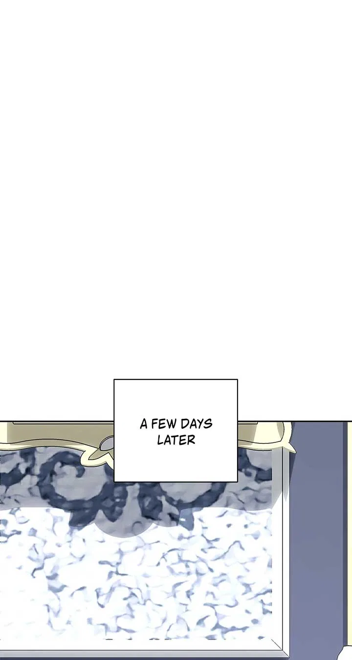 It Was Love at First Sight, Mr. Villain! Chapter 68 – Page 62