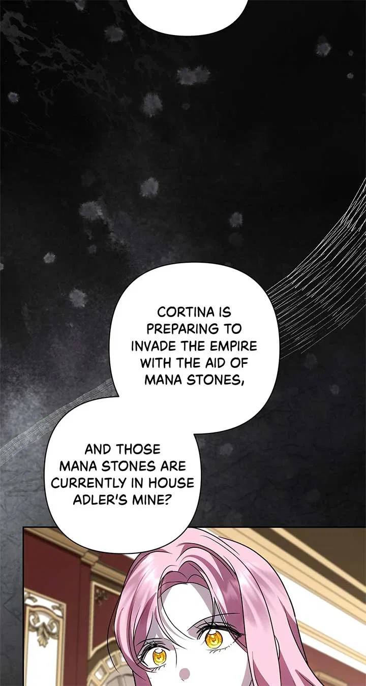 It Was Love at First Sight, Mr. Villain! Chapter 66 – Page 27