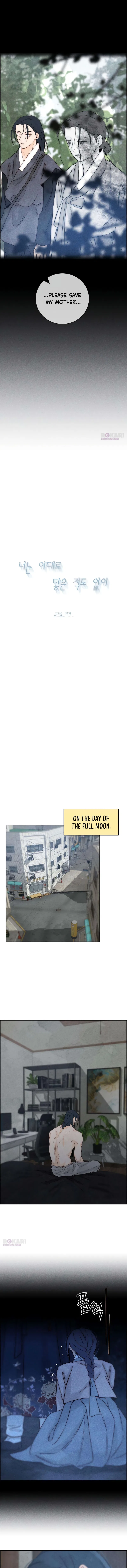 Forever out of reach Chapter 23 – Page 15