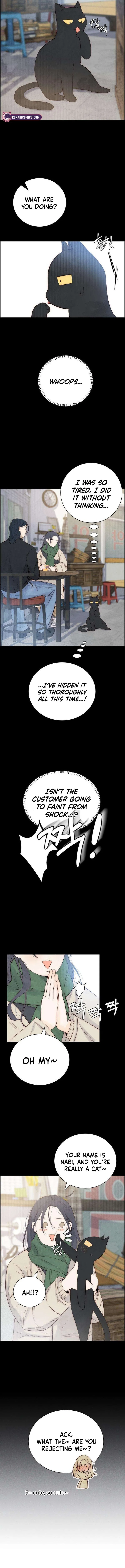 Forever out of reach Chapter 3 – Page 11