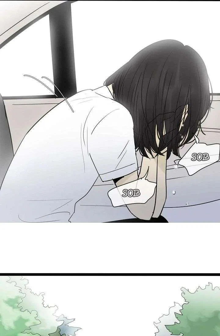 Clean with Passion for Now [Official] Chapter 113 – Page 37