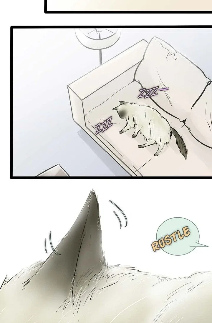 Clean with Passion for Now [Official] Chapter 43 – Page 8
