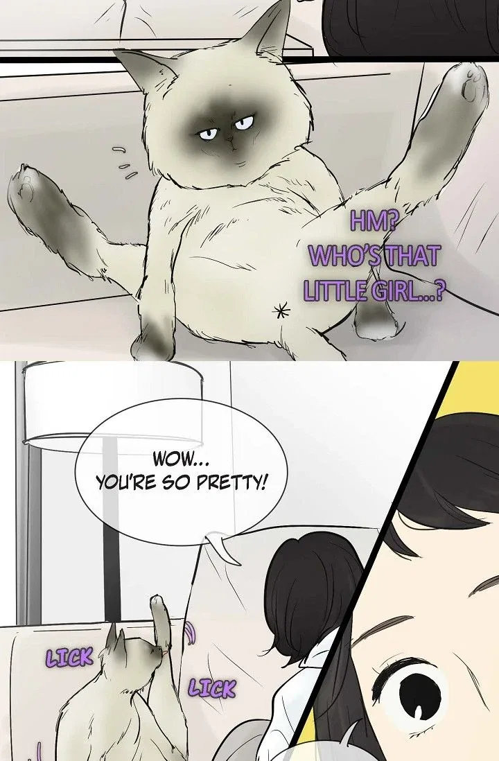 Clean with Passion for Now [Official] Chapter 37 – Page 28