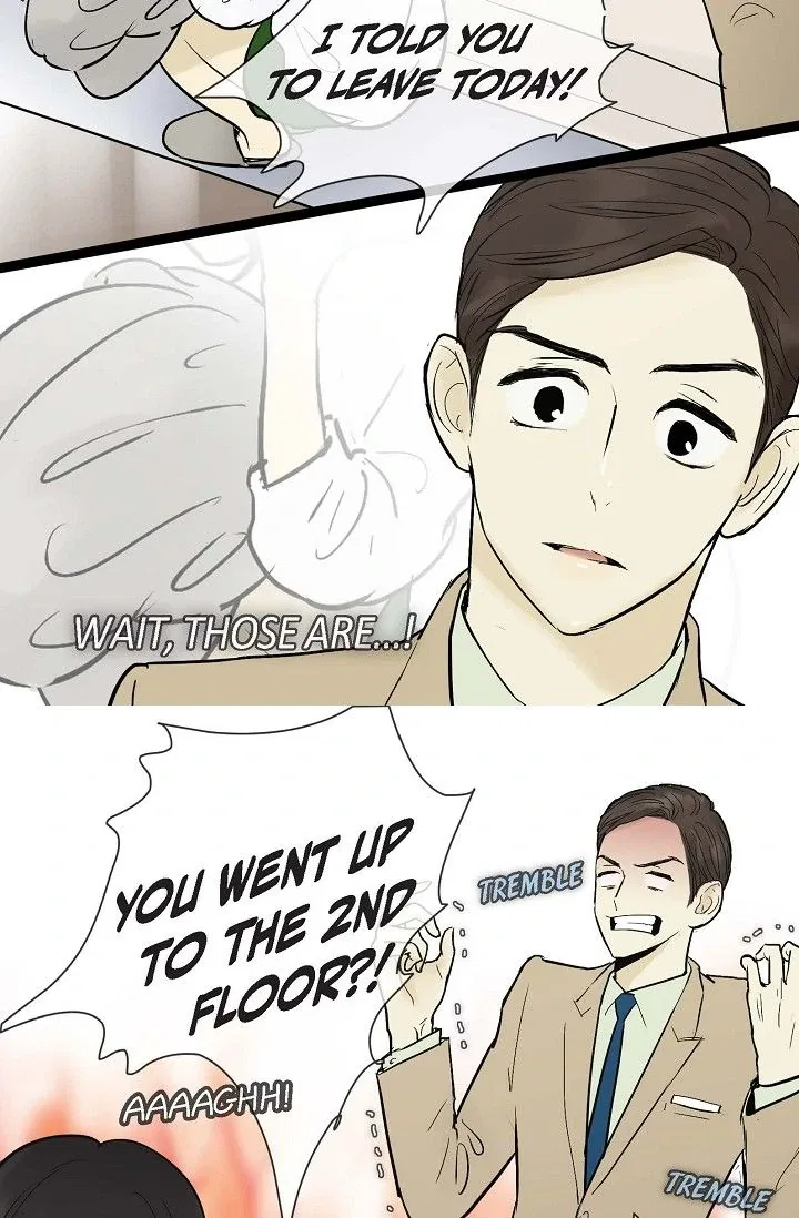 Clean with Passion for Now [Official] Chapter 37 – Page 33