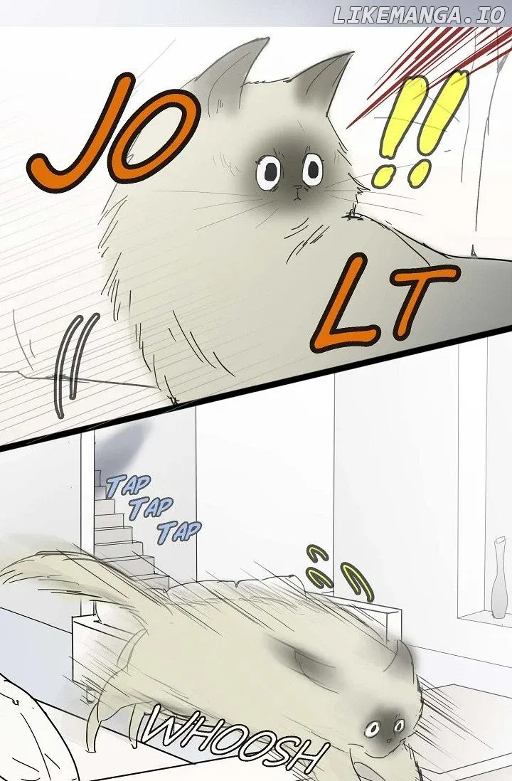 Clean with Passion for Now [Official] Chapter 12 – Page 7