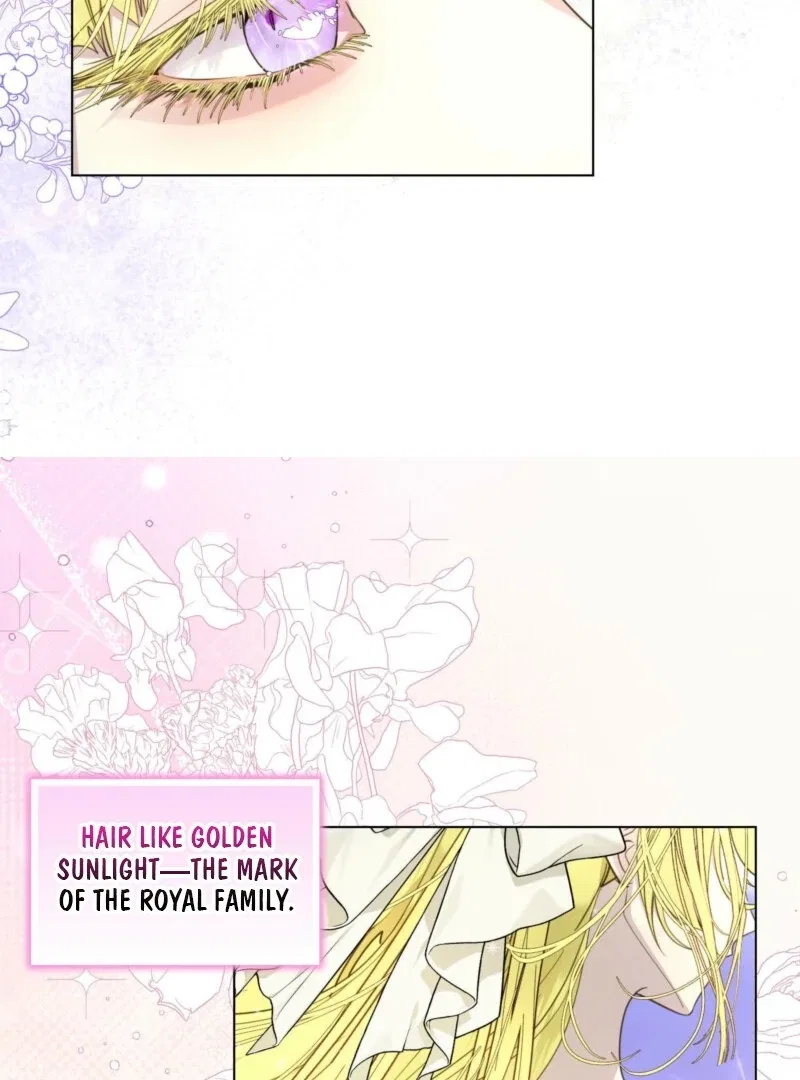 Miss Not-So Sidekick Chapter 185 – Page 62