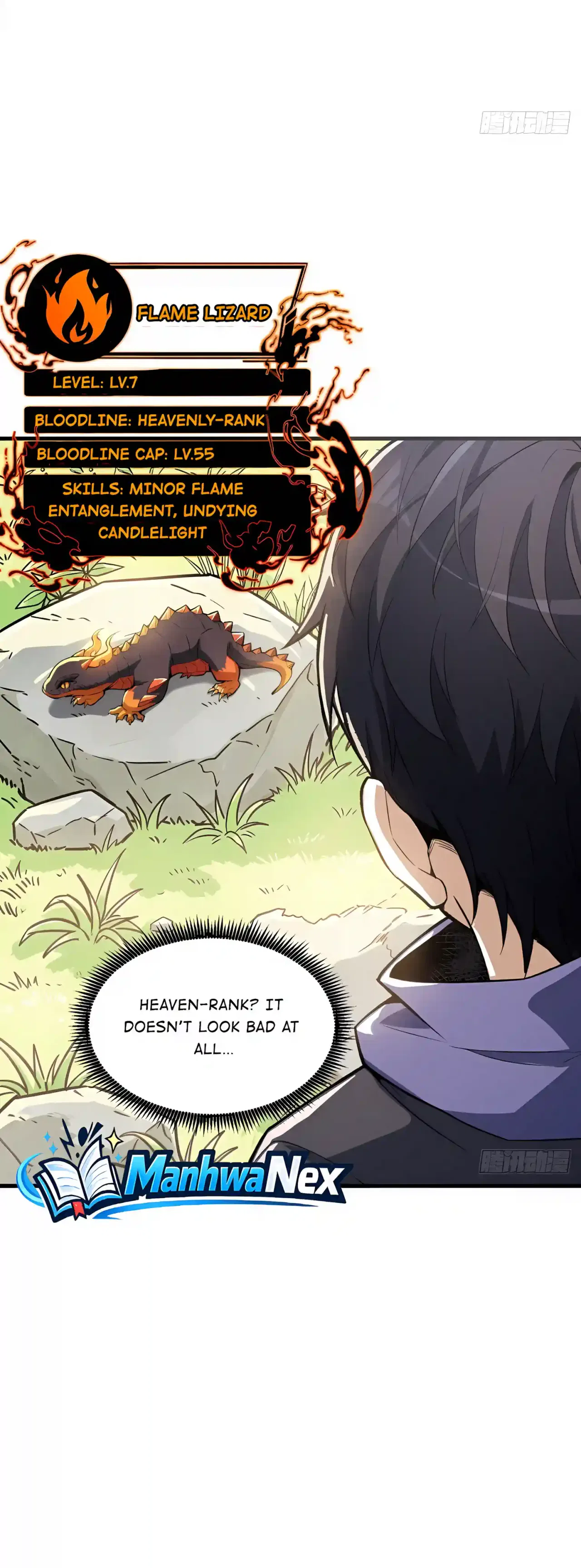 Global Beast Taming: Awakening an SSS-level Talent at the Start Chapter 3 – Page 18