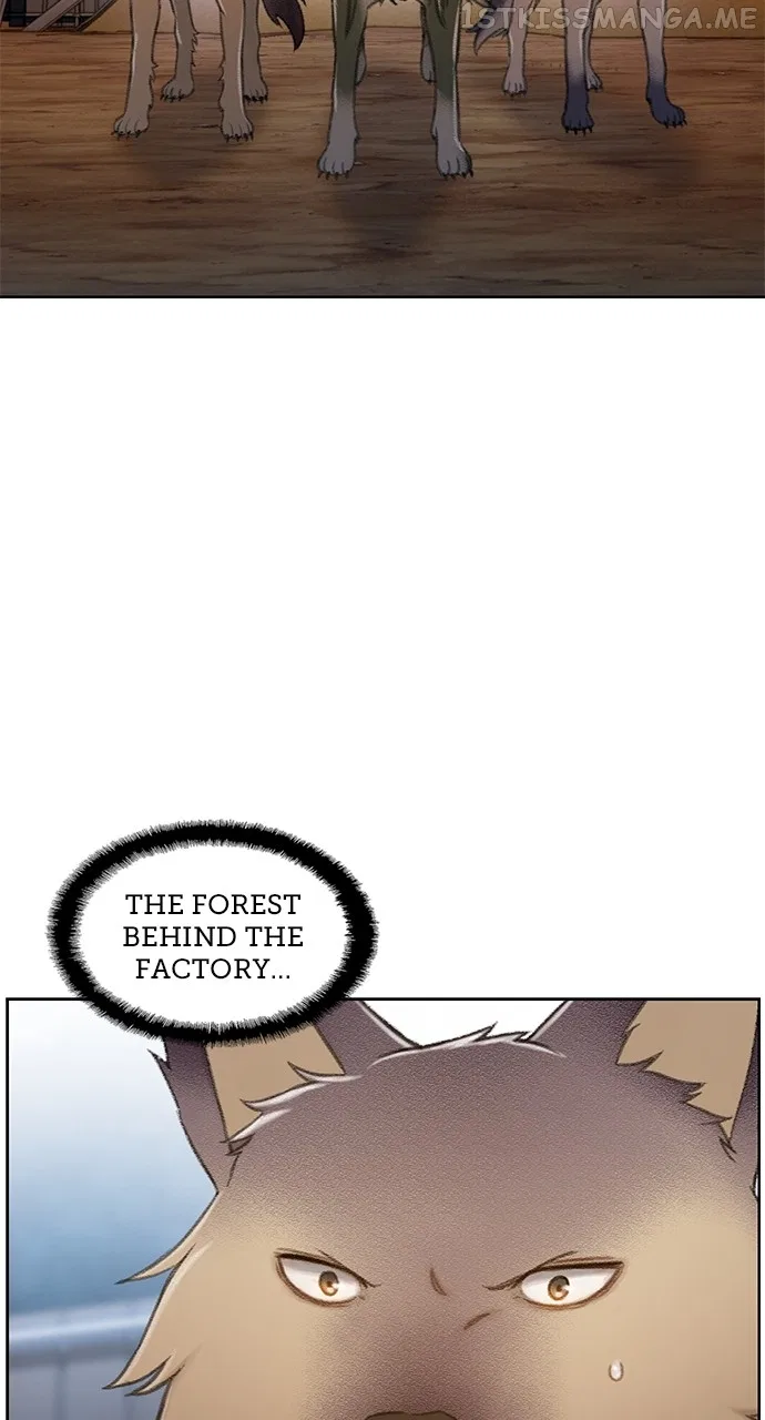 Filiarose – The Crown of Thorns Prophecy Chapter 16 – Page 67