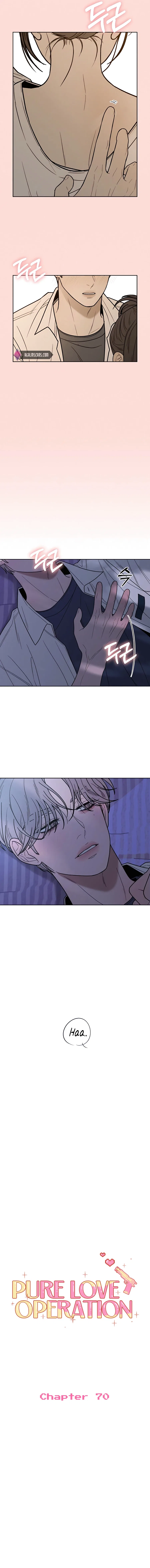 Pure Love Operation Chapter 70 – Page 5